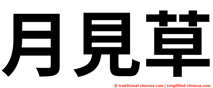 月見草