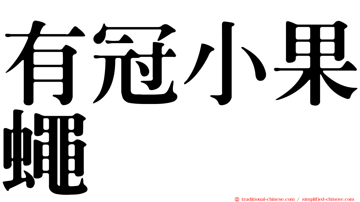 有冠小果蠅