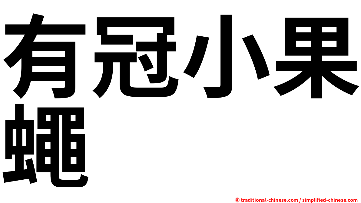 有冠小果蠅