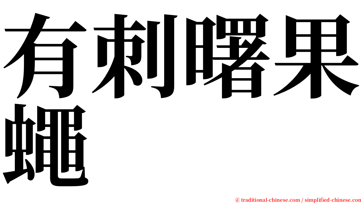 有刺曙果蠅 serif font