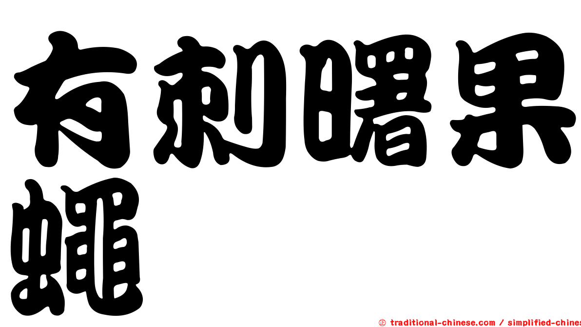 有刺曙果蠅
