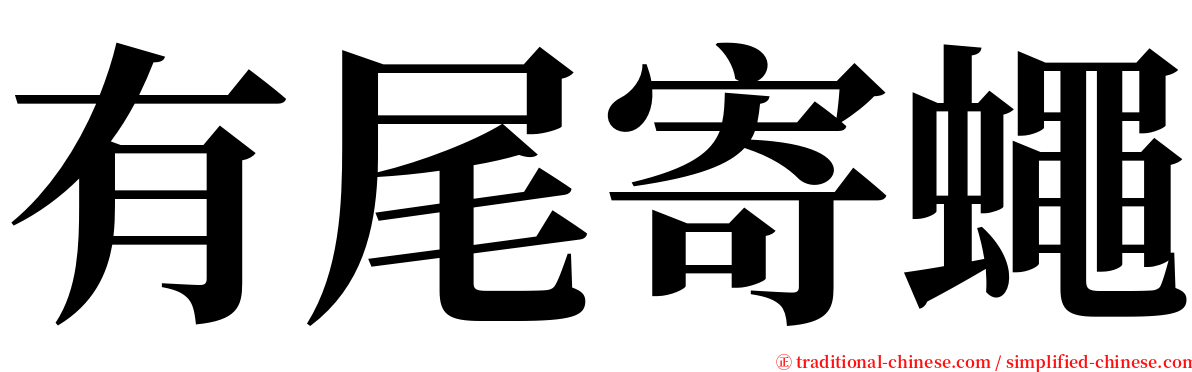 有尾寄蠅 serif font