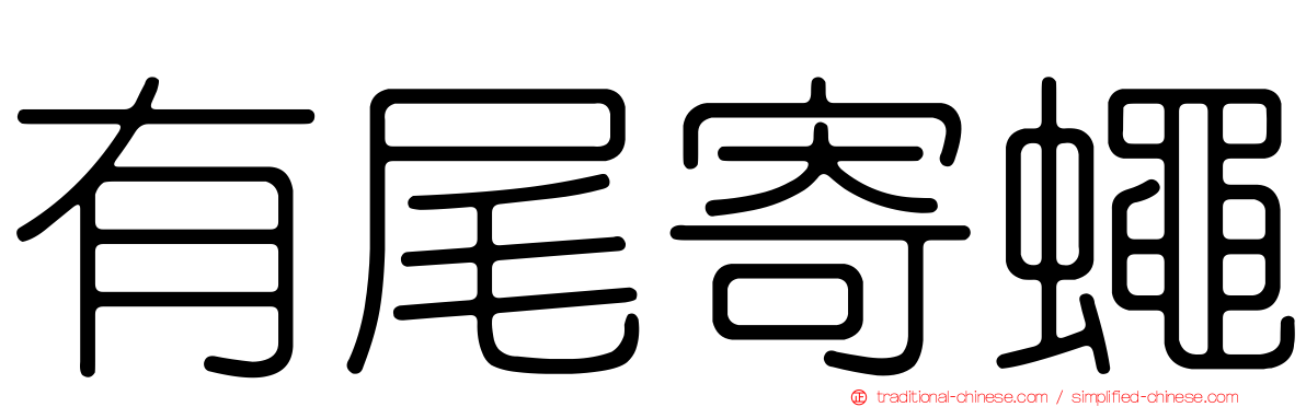 有尾寄蠅