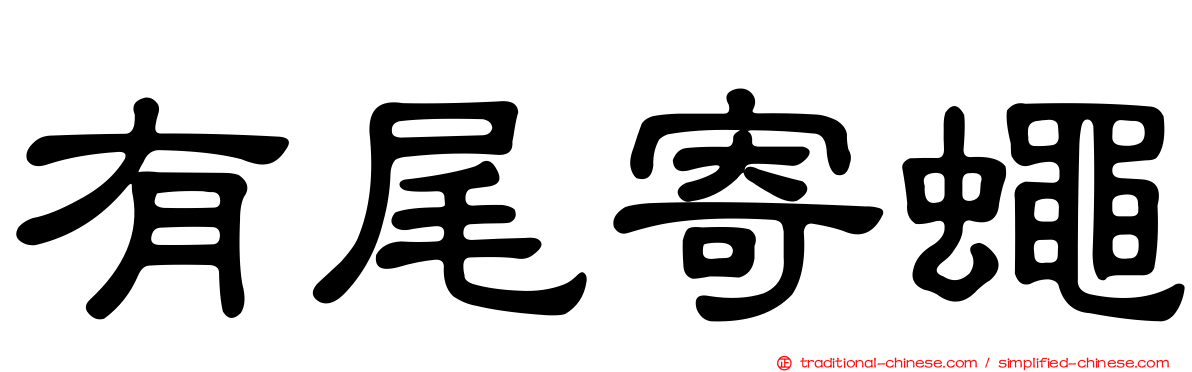 有尾寄蠅