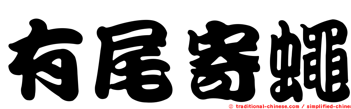 有尾寄蠅