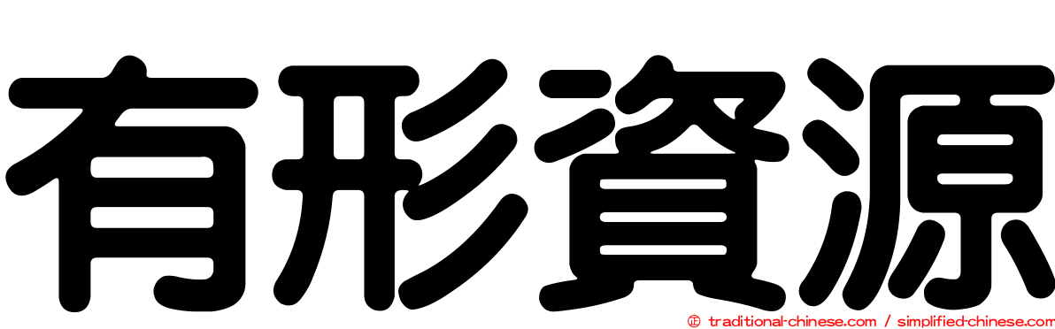 有形資源