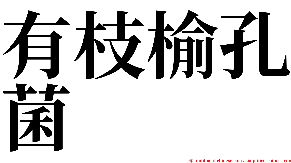 有枝榆孔菌 serif font
