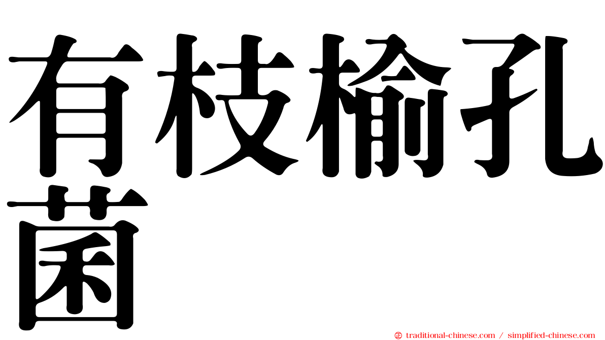 有枝榆孔菌