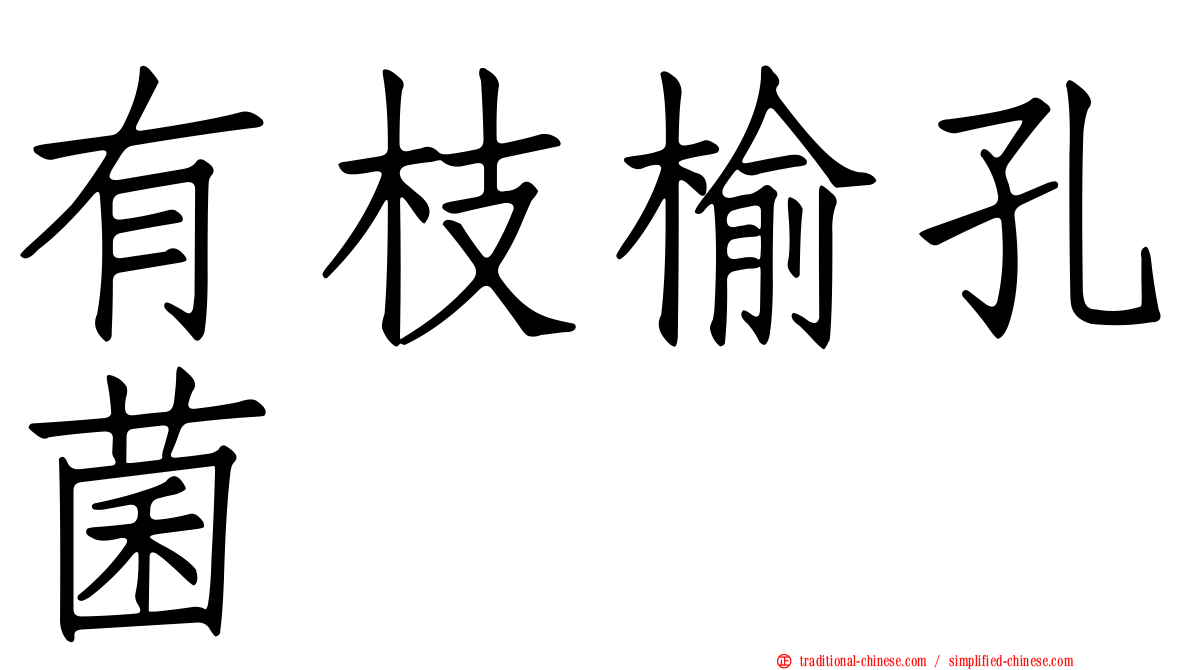 有枝榆孔菌