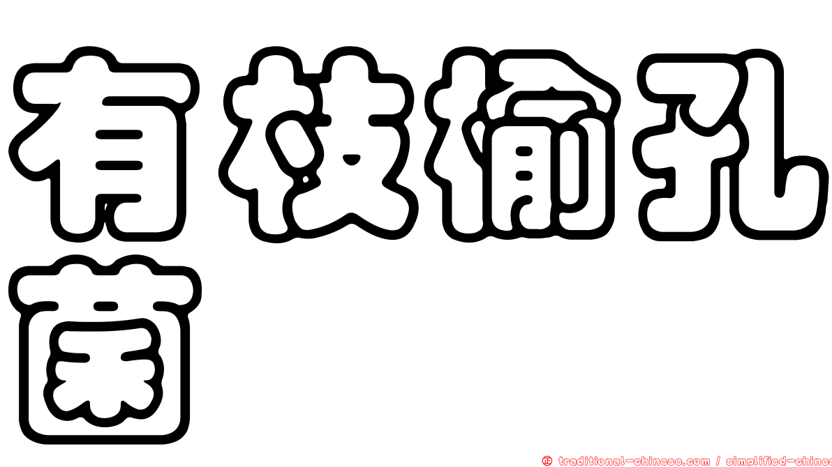 有枝榆孔菌