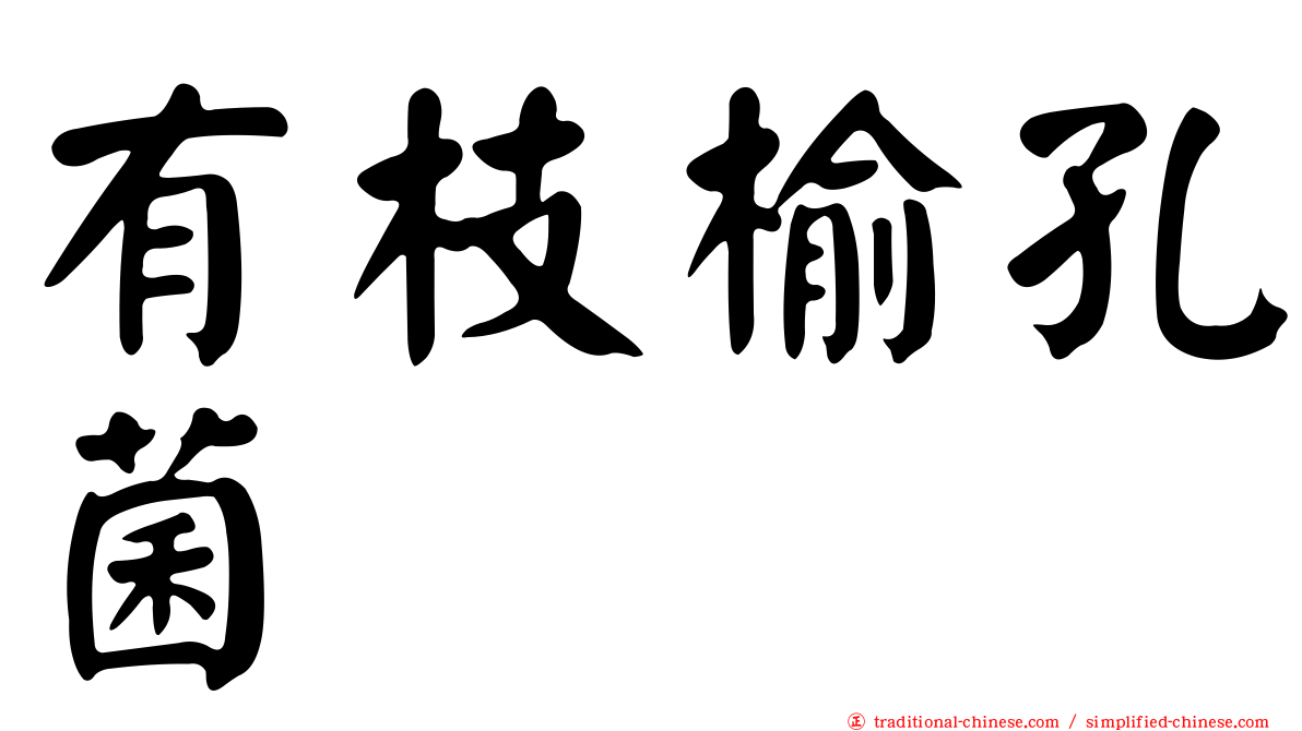 有枝榆孔菌