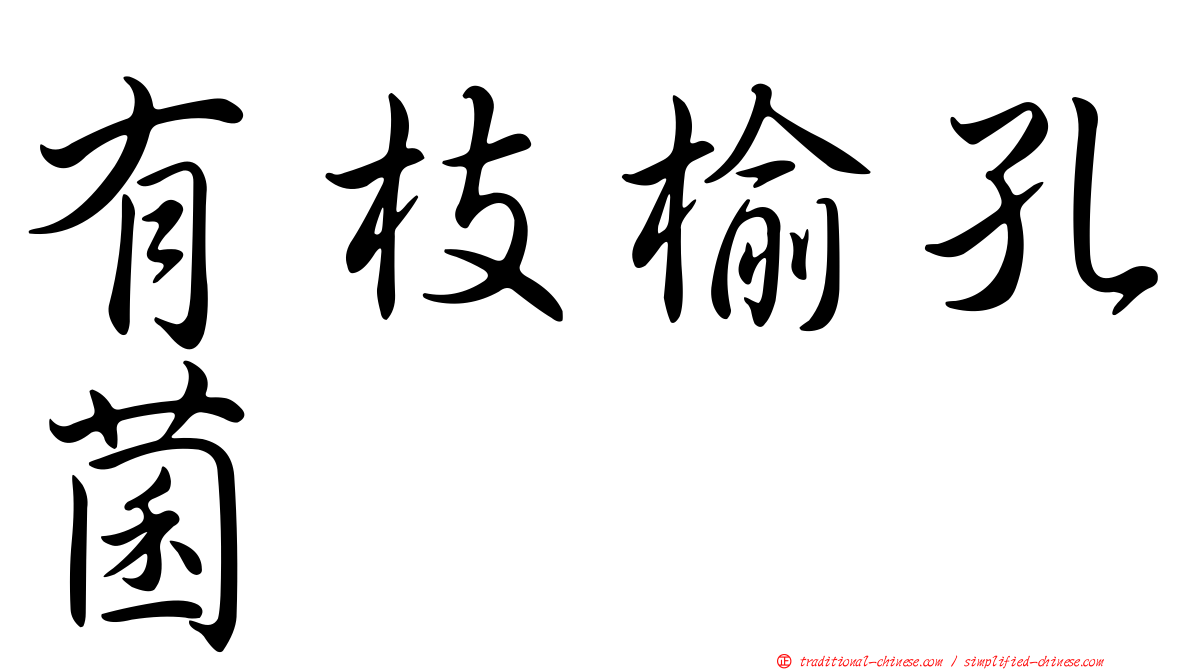 有枝榆孔菌