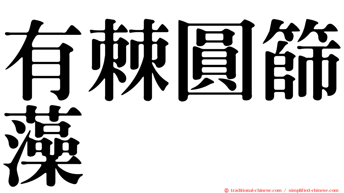 有棘圓篩藻
