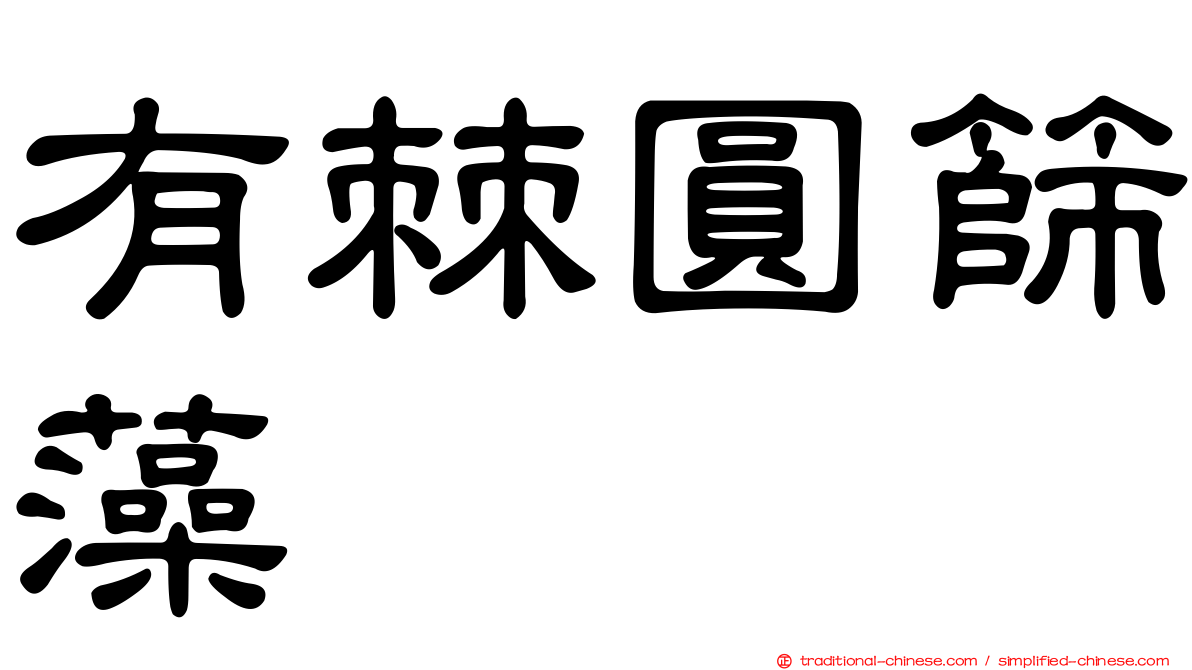 有棘圓篩藻