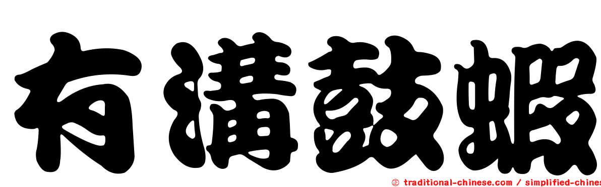 有溝鼓蝦