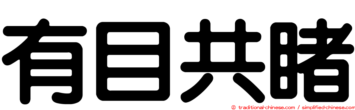 有目共睹