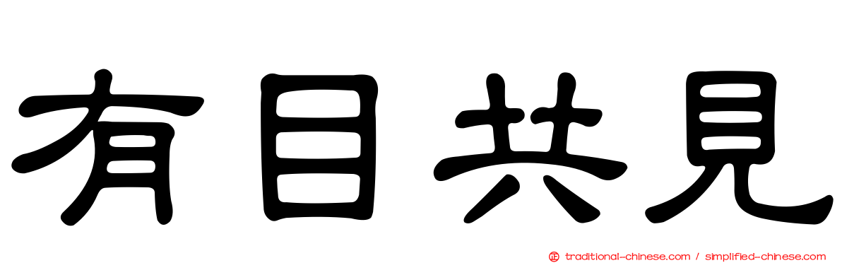有目共見