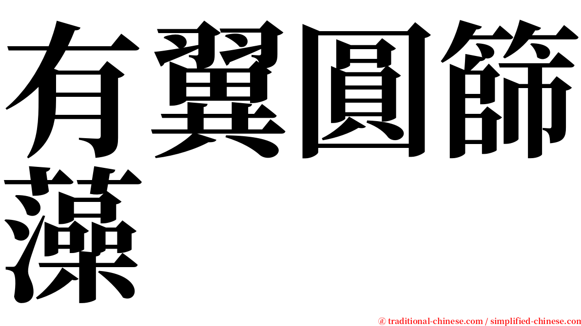 有翼圓篩藻 serif font