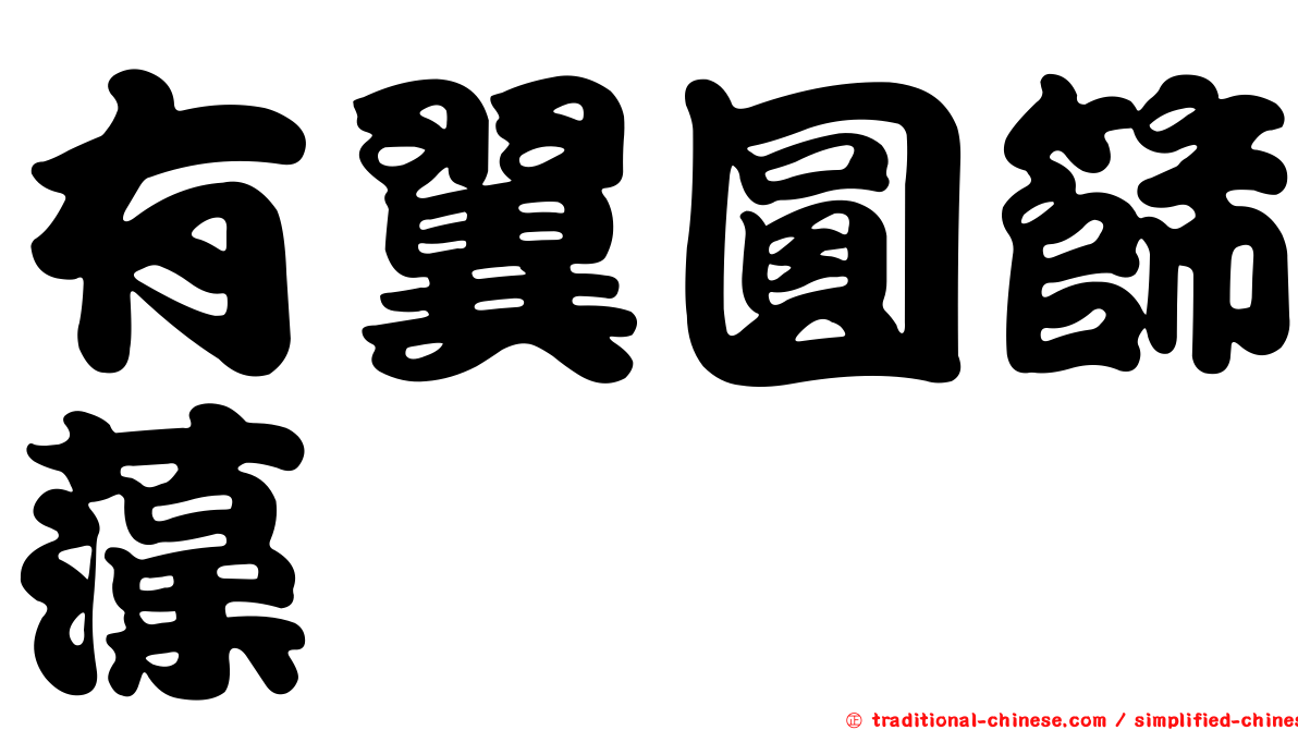 有翼圓篩藻