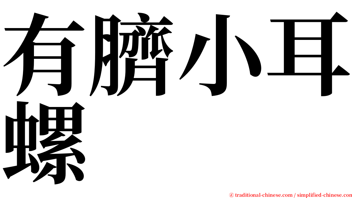 有臍小耳螺 serif font