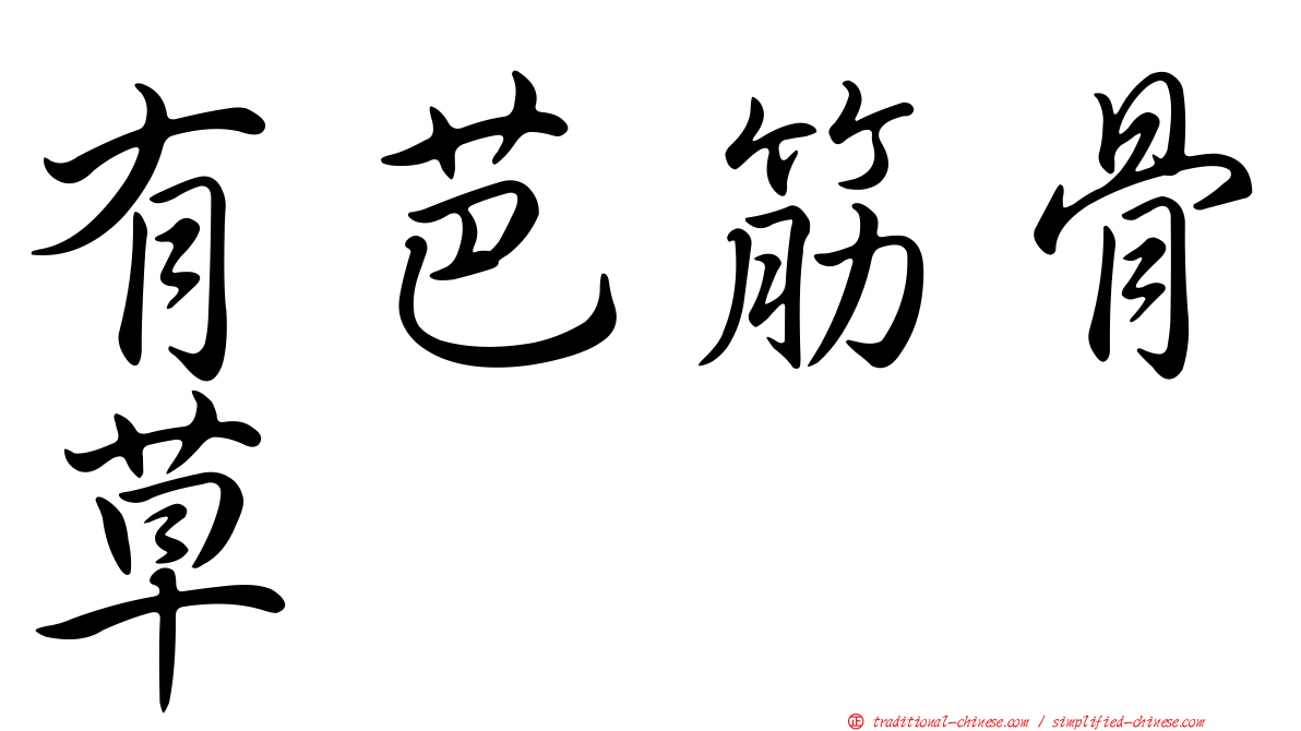 有芭筋骨草