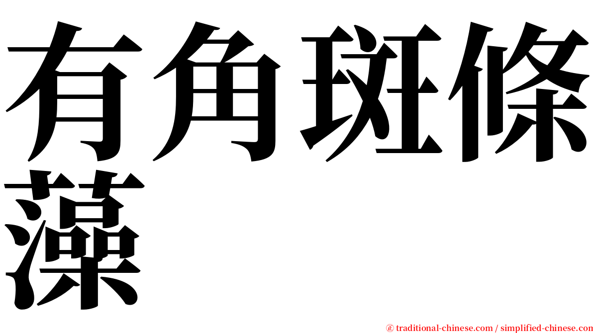 有角斑條藻 serif font