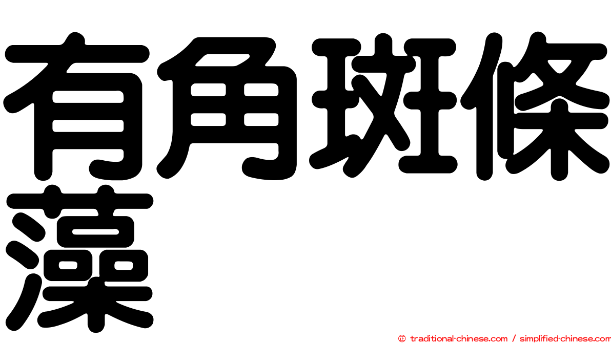 有角斑條藻