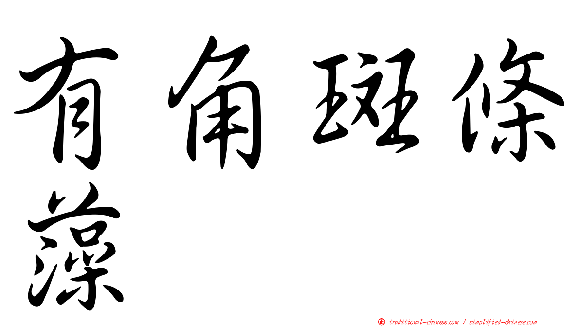 有角斑條藻