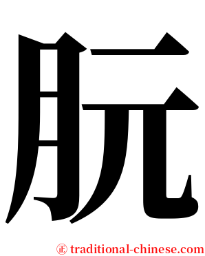 朊 serif font