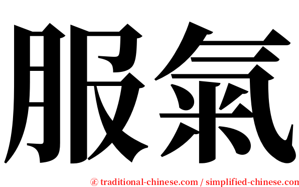 服氣 serif font