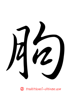 朐