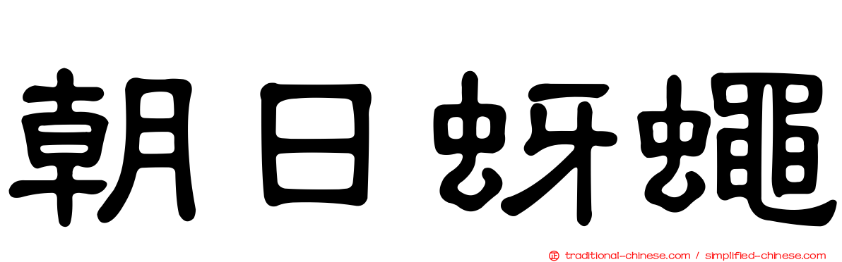 朝日蚜蠅