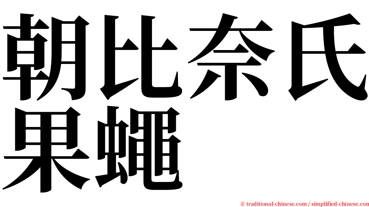 朝比奈氏果蠅 serif font