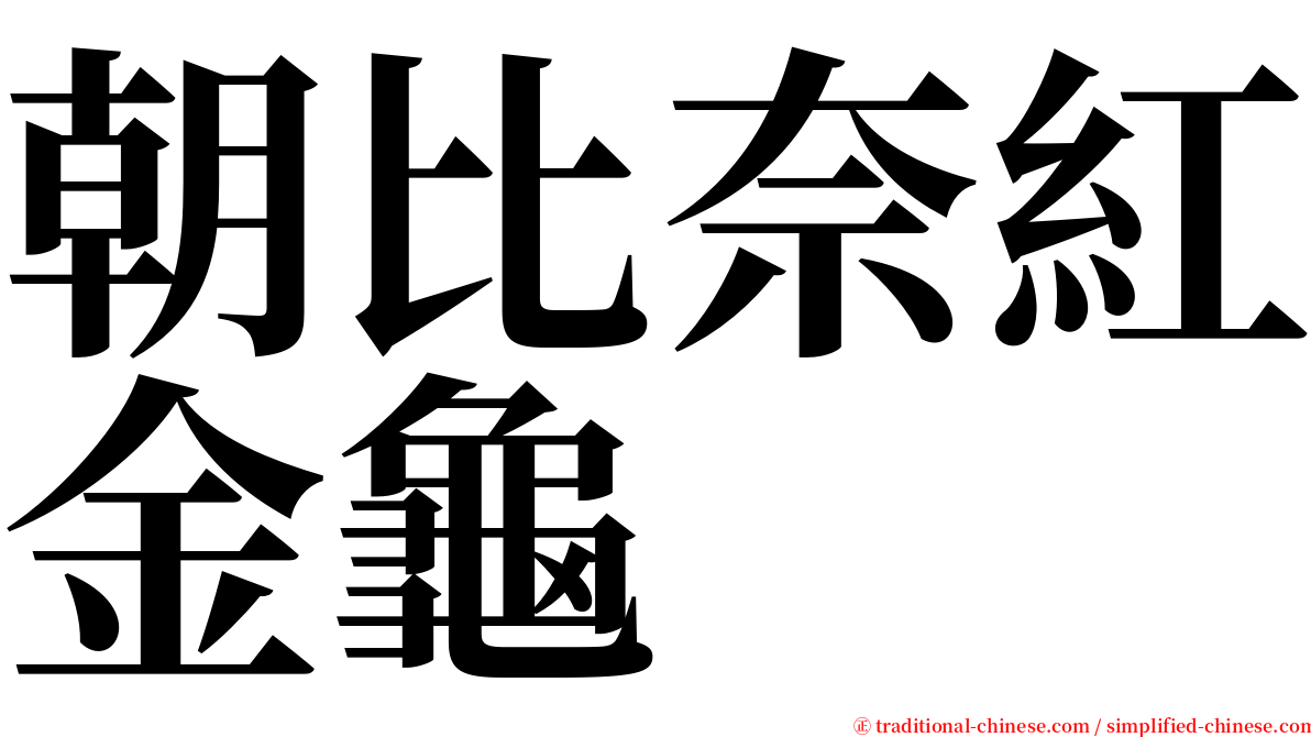 朝比奈紅金龜 serif font