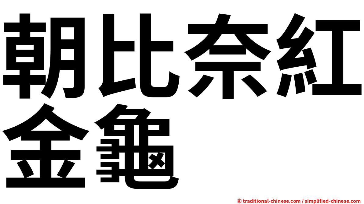 朝比奈紅金龜