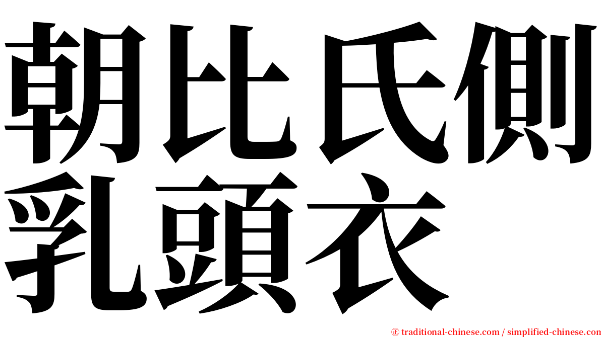 朝比氏側乳頭衣 serif font