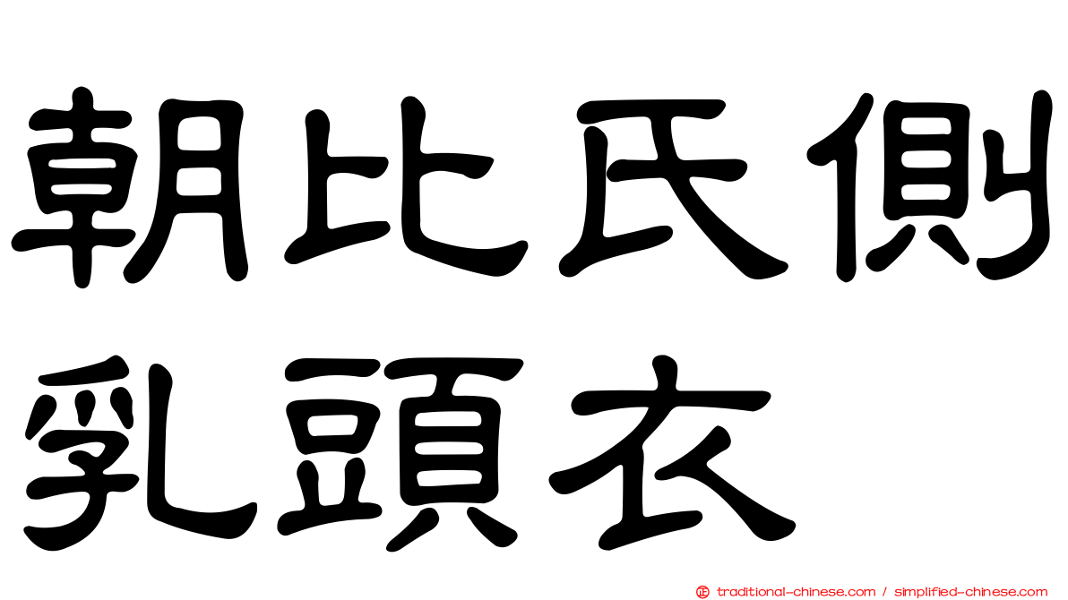 朝比氏側乳頭衣