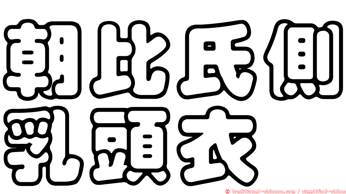 朝比氏側乳頭衣