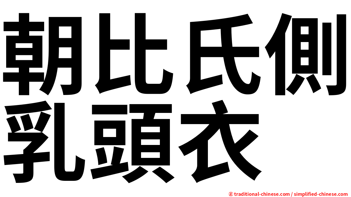 朝比氏側乳頭衣