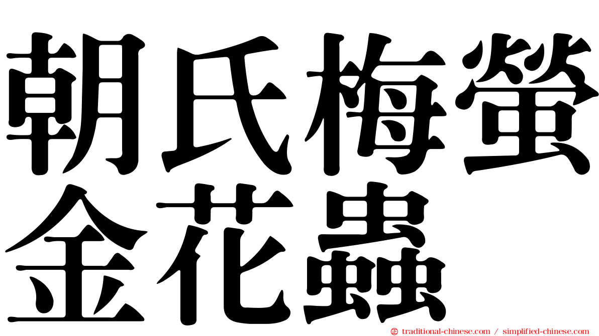 朝氏梅螢金花蟲