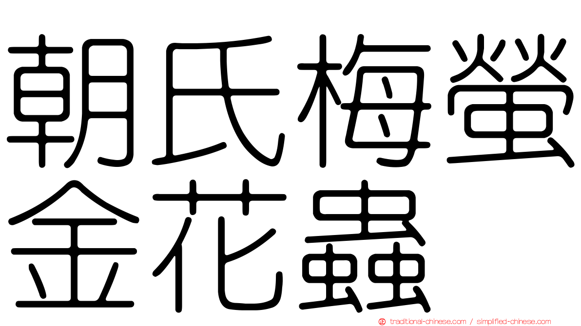 朝氏梅螢金花蟲