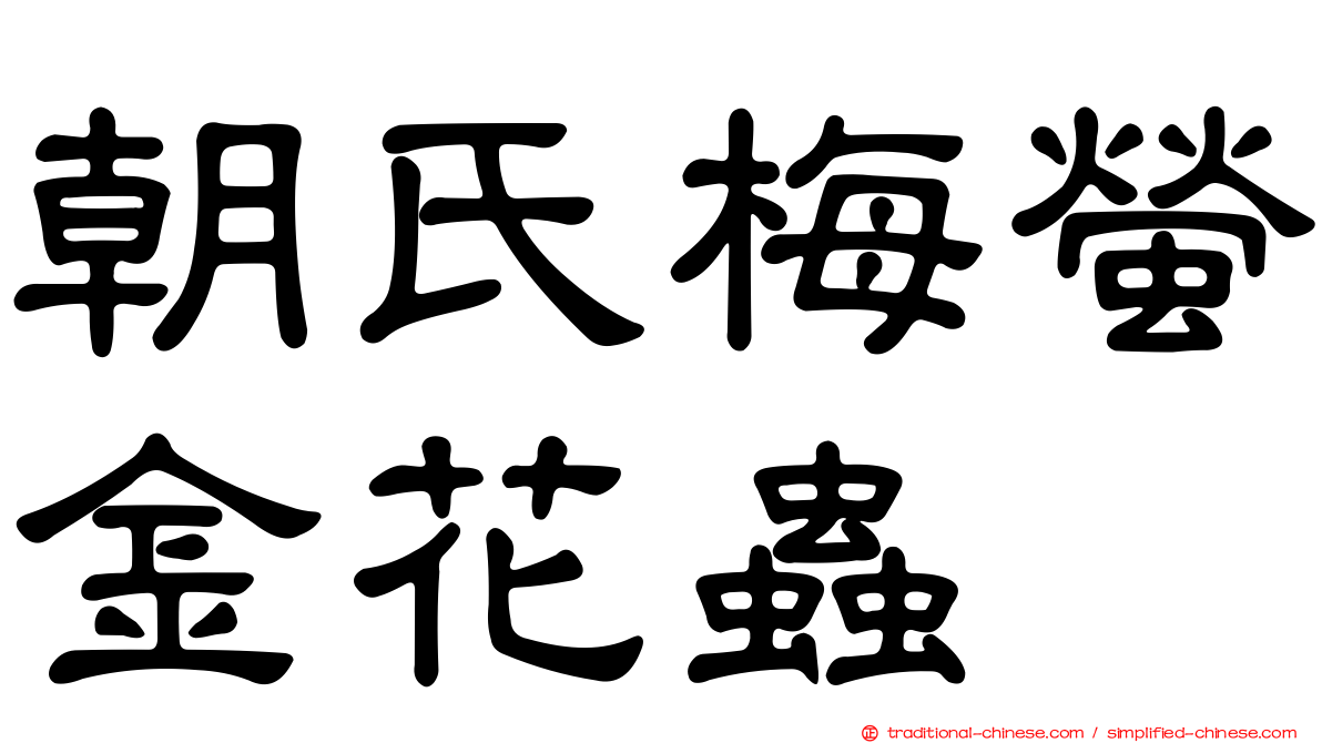 朝氏梅螢金花蟲