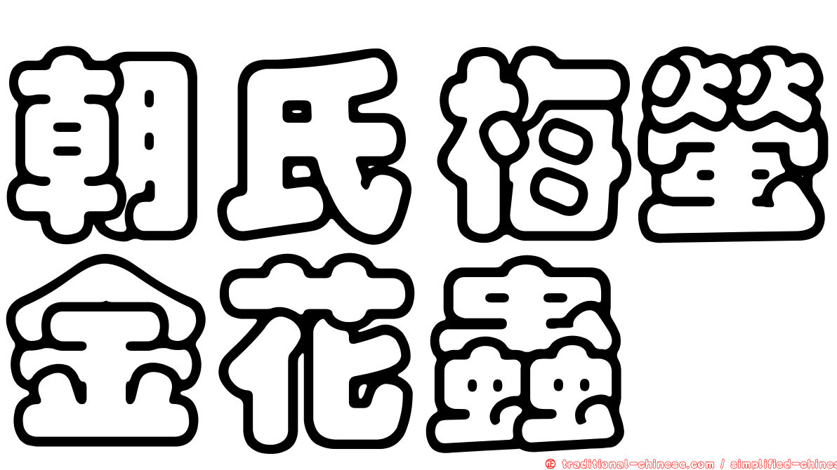 朝氏梅螢金花蟲