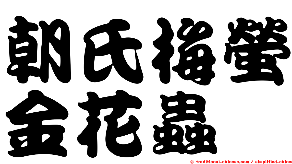 朝氏梅螢金花蟲