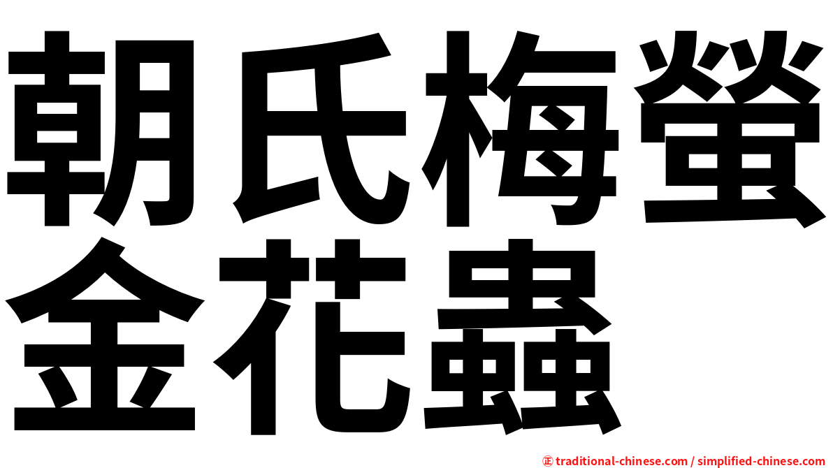 朝氏梅螢金花蟲