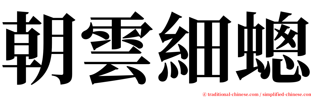 朝雲細蟌 serif font