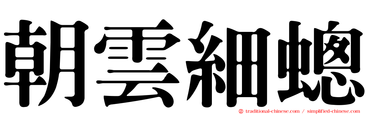 朝雲細蟌