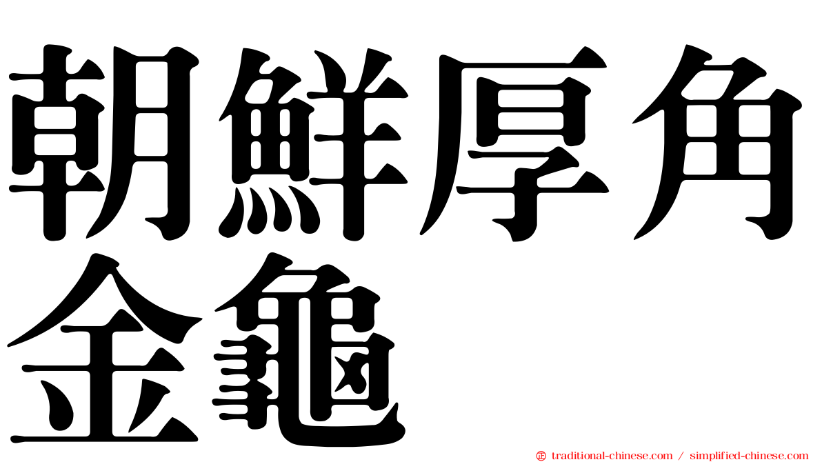 朝鮮厚角金龜