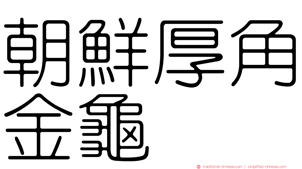 朝鮮厚角金龜