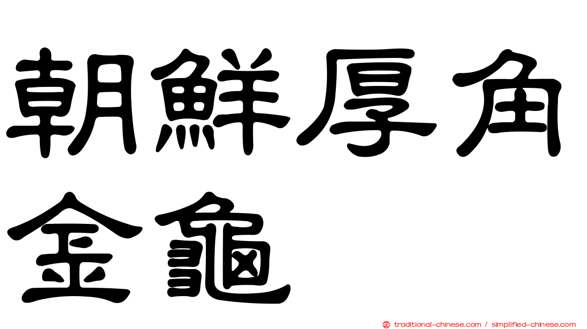 朝鮮厚角金龜